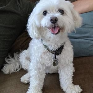 Meet your Posher, Maryellen